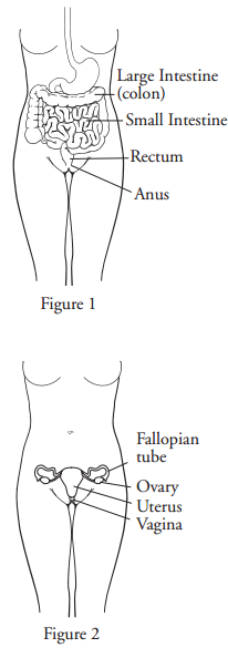 Posterior Pelvic Exenteration Memorial Sloan Kettering Cancer Center